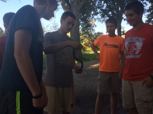 This snake that showed up at the cross country team's pasta dinner didn't get me too worked up, but I'm still working on dealing with the ones I encounter on the trail. 